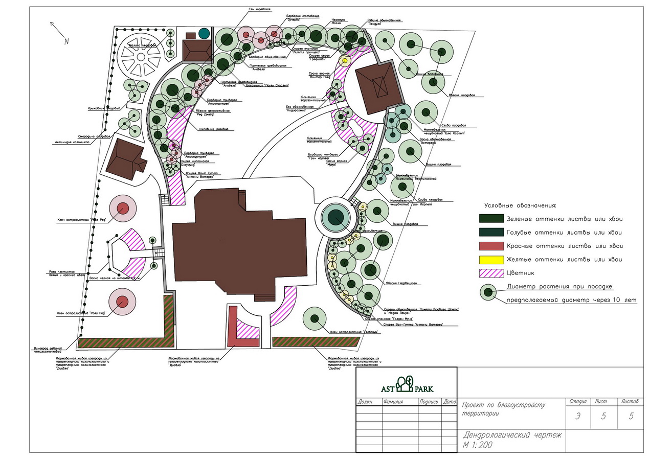 Дендрологический план участка пример - 88 фото